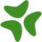 Bloomerang logo